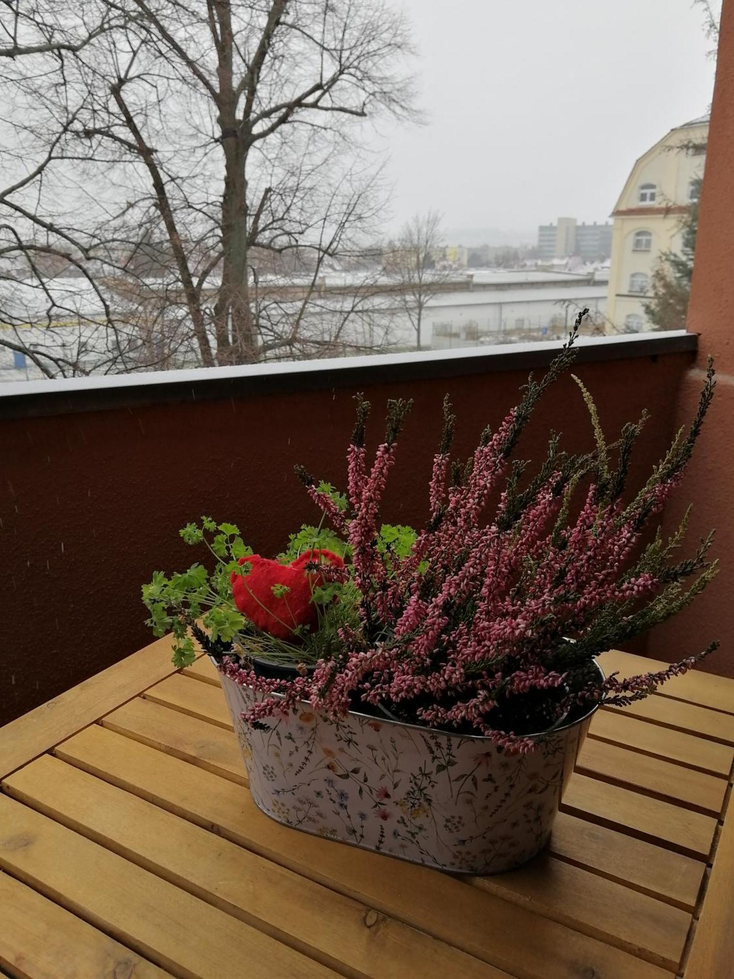 Fewo Lichtblick Bautzen Bagian luar foto